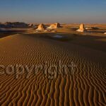 Weiße Wüste von Horst Zanus