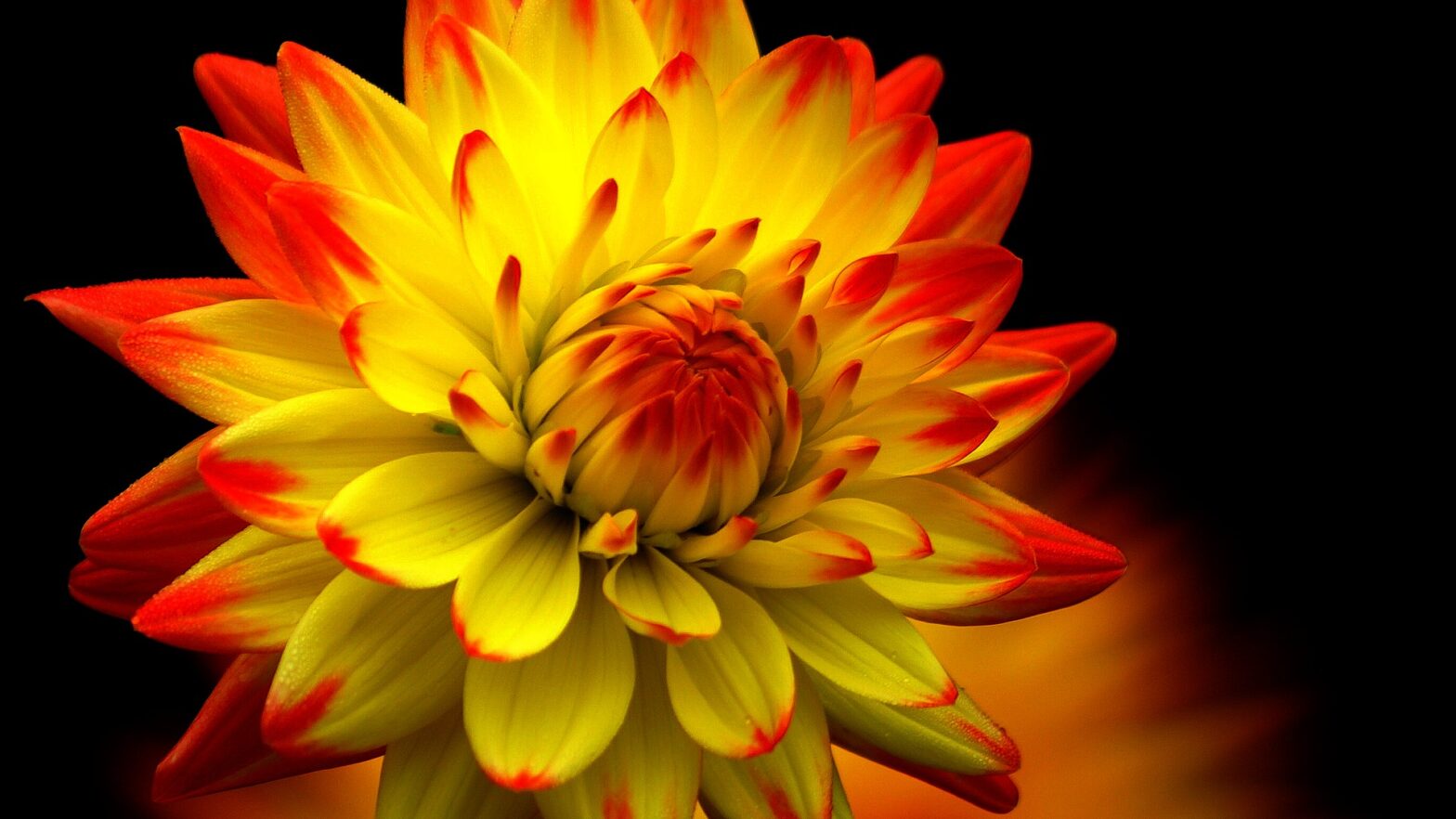 Farben in der Natur von Volker Hilarius Siegerbild Wettbewerb "Farben in der Natur"