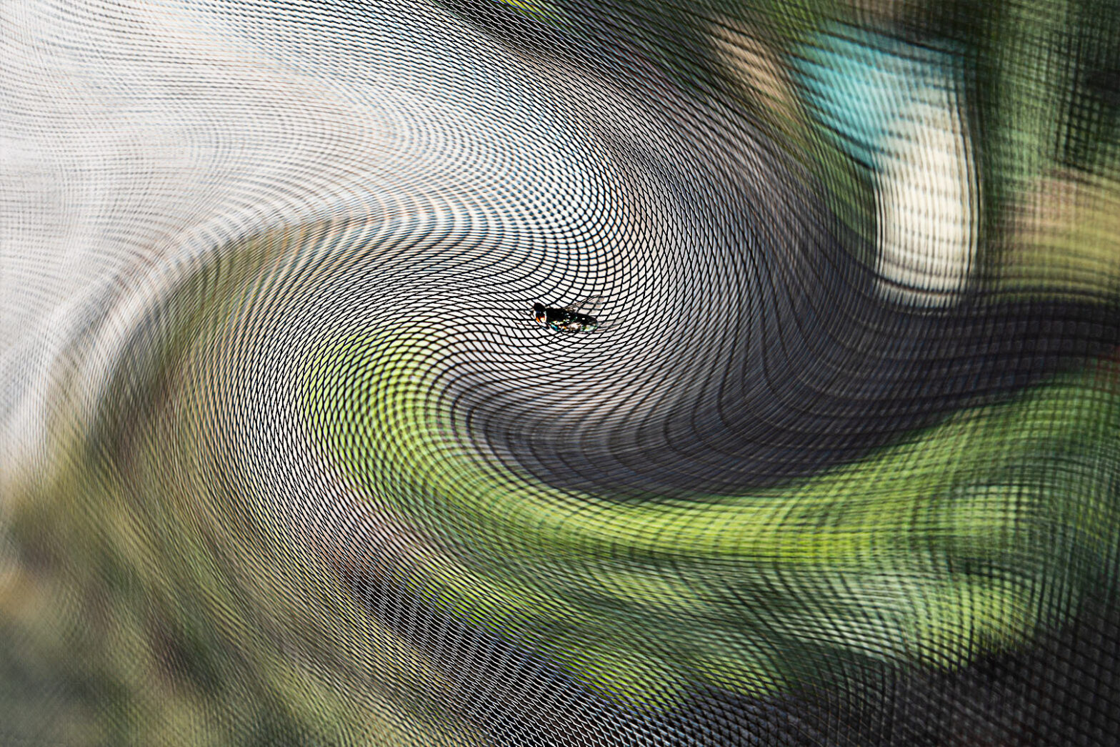 Fliegengitter von Anneliese Kläres Wettbewerb Abstrakt Siegerbild Farbe