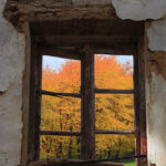 Fenster zum Herbst von Gerhard Hasenzahl