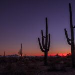 Sonnenuntergang in der Wüste von Horst Zanus Monatsthema Landschaften