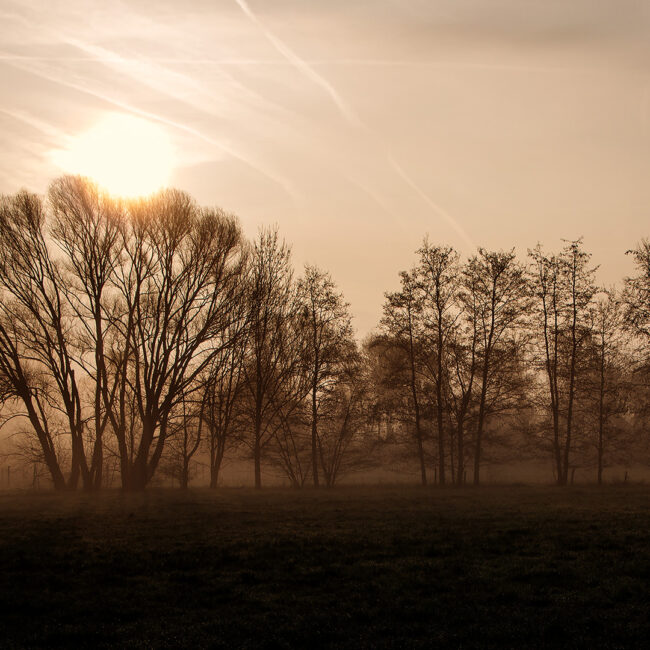 Sonnenaufgang im Nebel von Anneliese Kläres