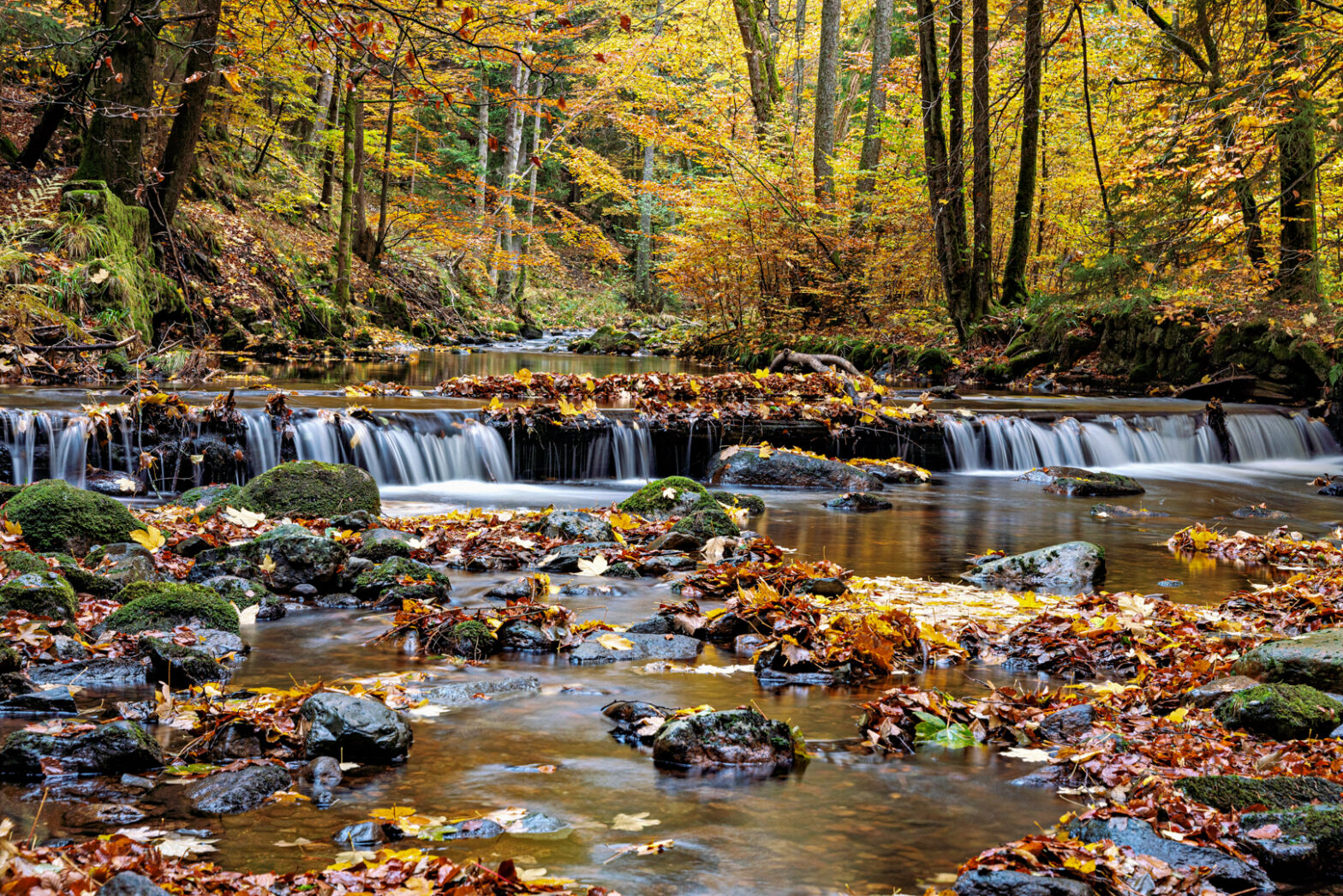 Herbststimmung im Harz von Uwe Augustin