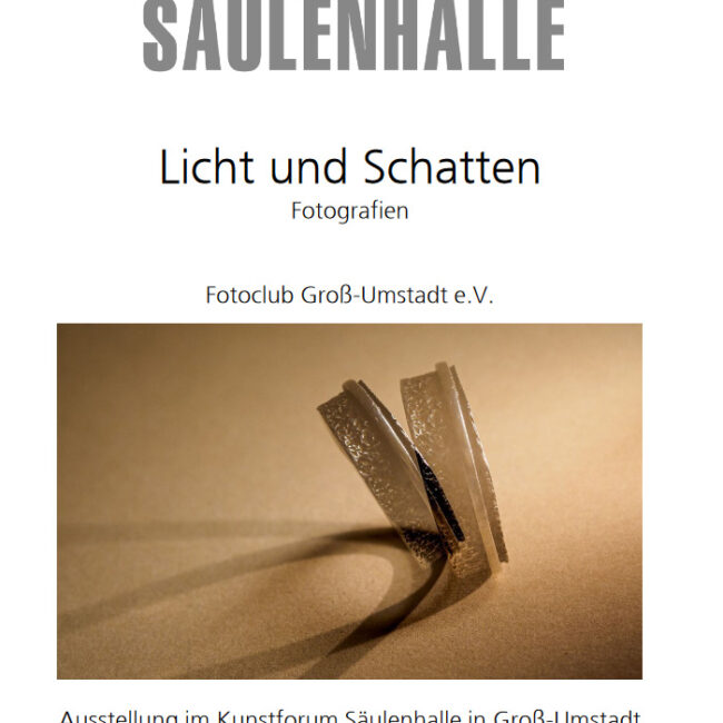 Plakat Ausstellung Licht und Schatten