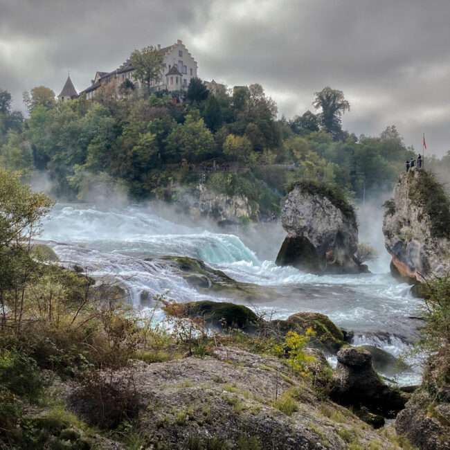 Hans-Günter Göring