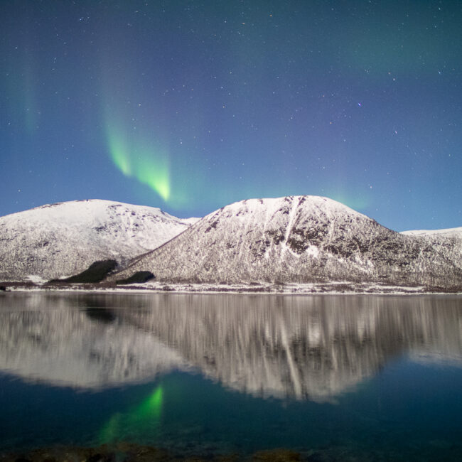 Nachtlicht von Peter Jehle