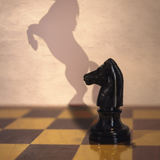 Schach von Reiner Roczeck