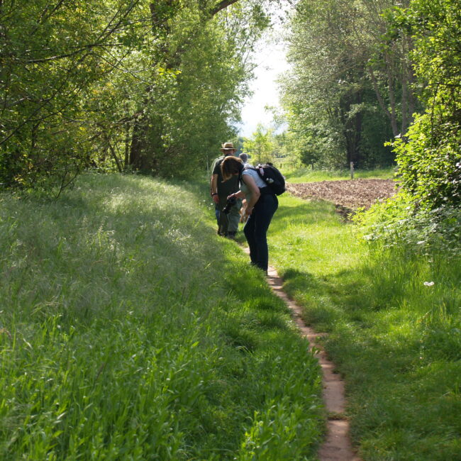Iuliia Sinchenkova​
