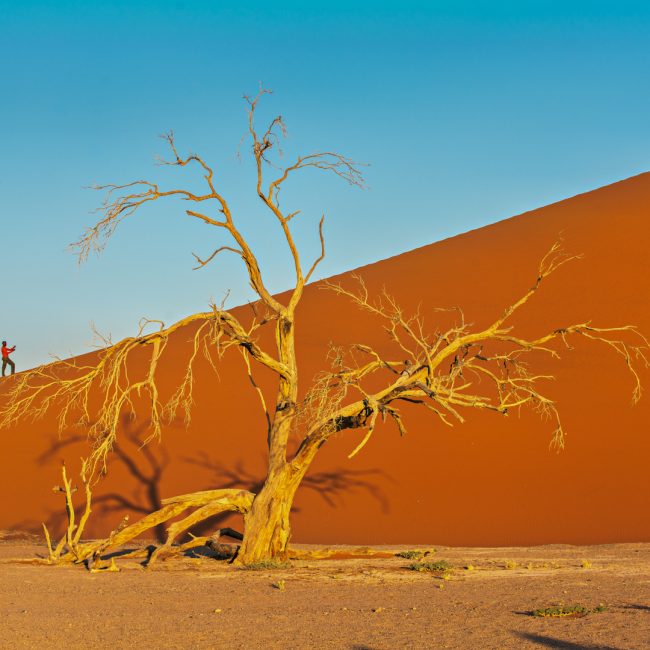 Zwischen Himmel und Sand von Uwe Augustin