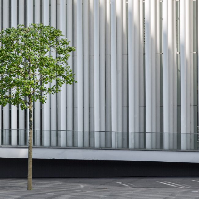 Urbane Natur von Doris Storck