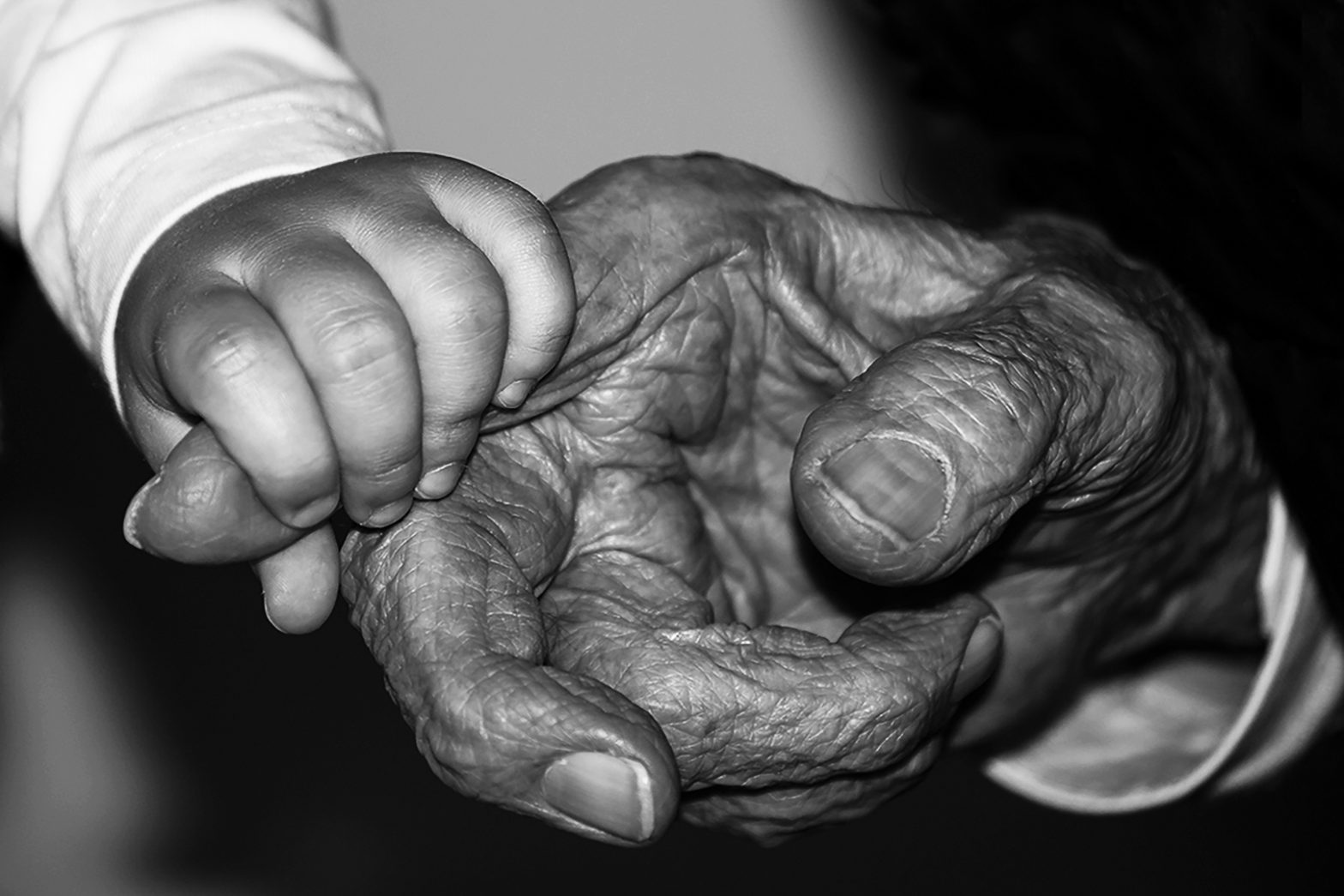 Zwei Hände spiegeln ein Jahrhundert wieder von Wilfried Niepoth