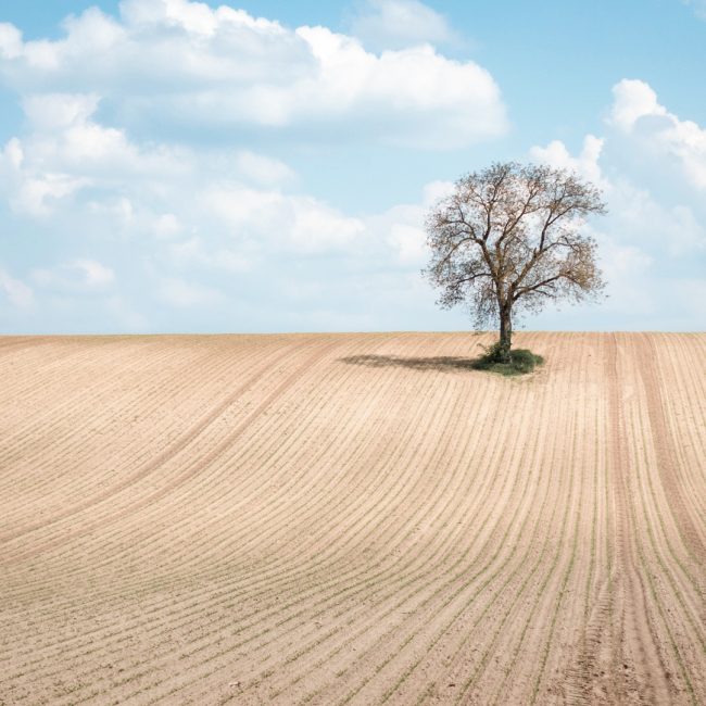 Hans-Günter Göring