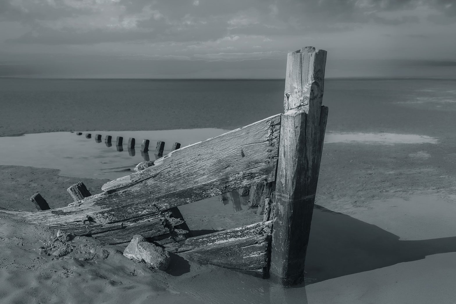 Gestrandet von Reiner Roczek