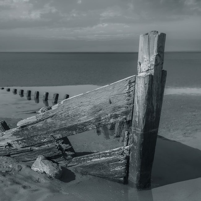 Gestrandet von Reiner Roczek