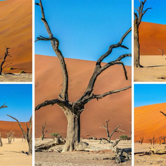 Dead Vlei von Uwe Augustin