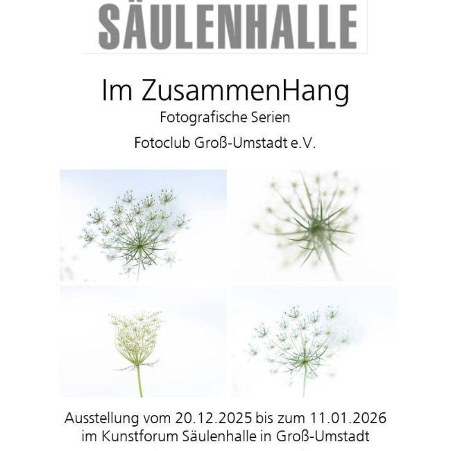 Plakat Ausstellung Im ZusammenHang