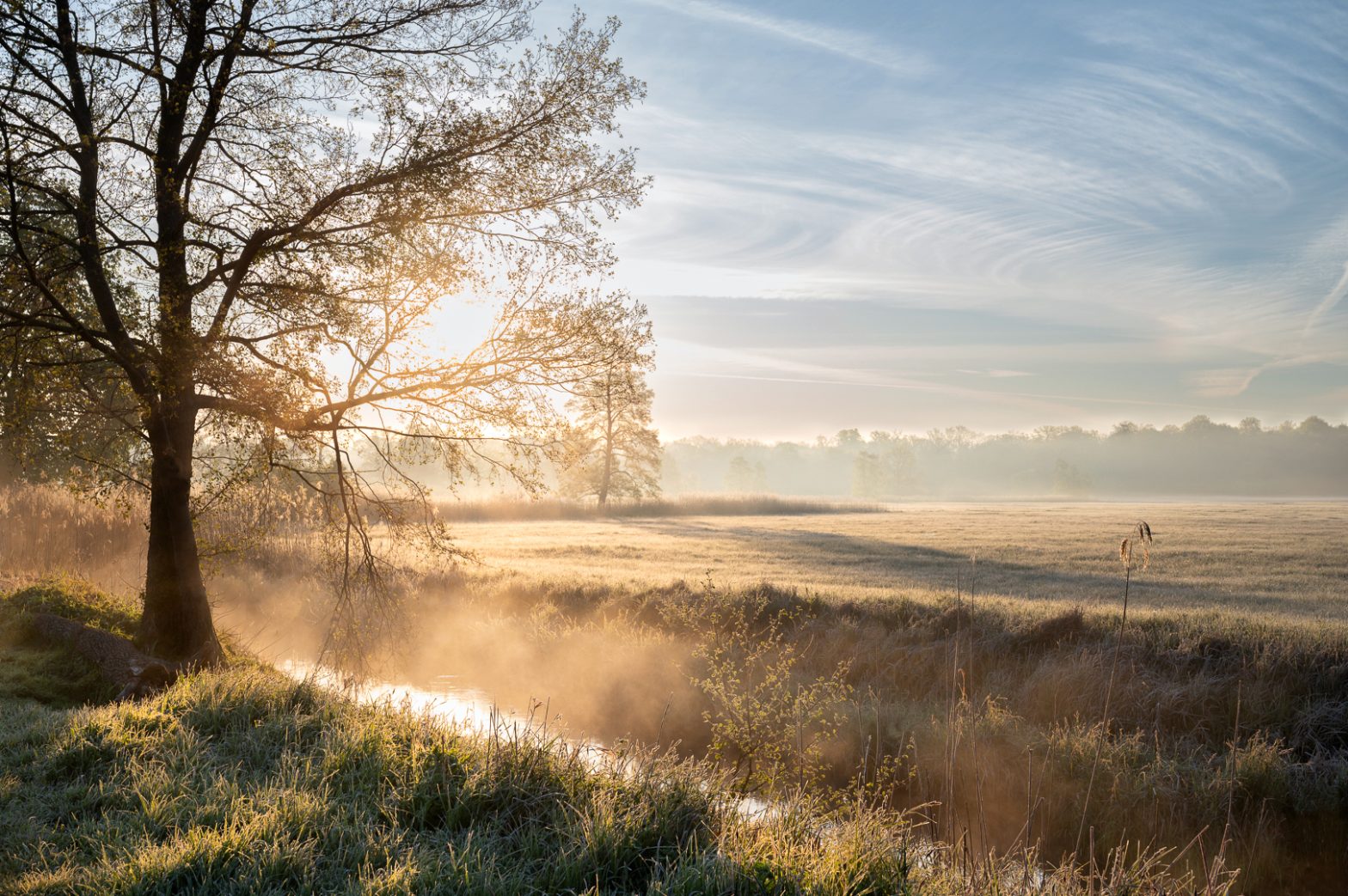 Herbstliche Morgenstimmung von Hans Tiglmann