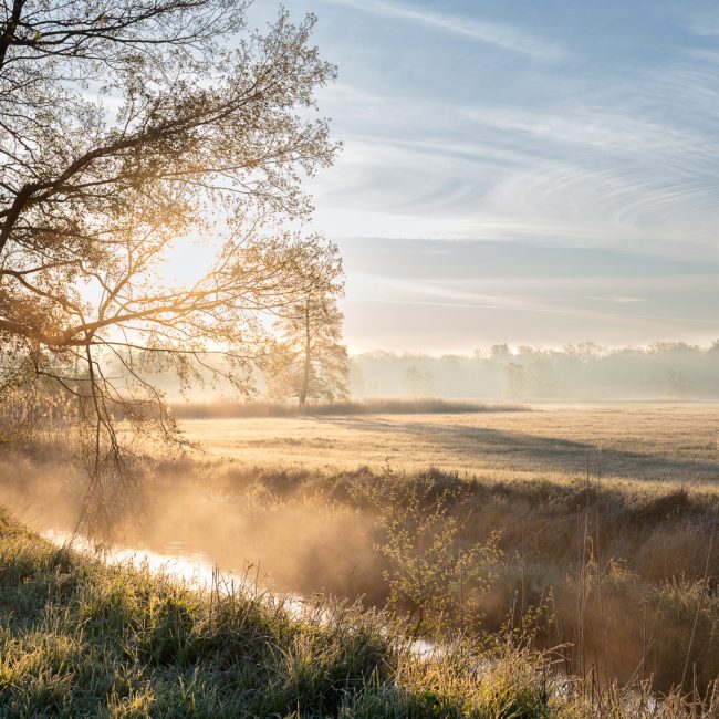 Herbstliche Morgenstimmung von Hans Tiglmann