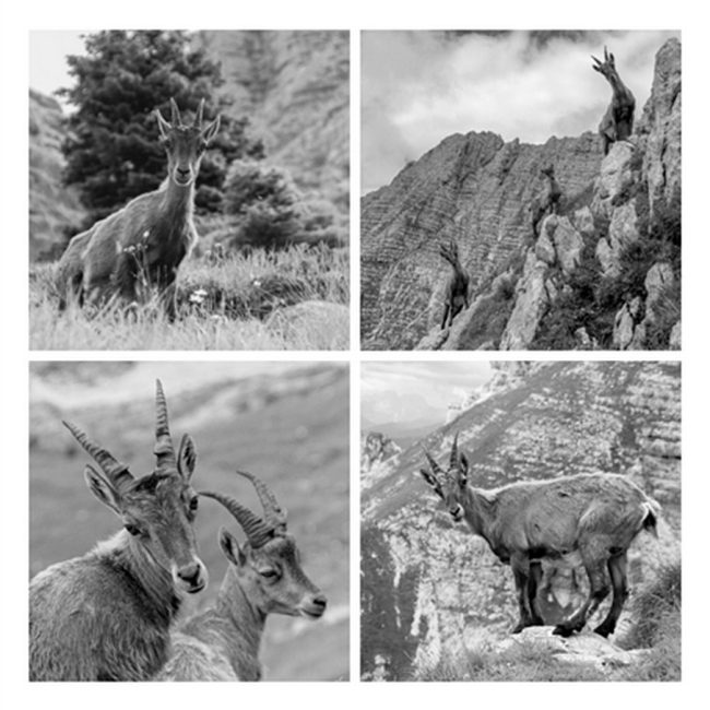 Begegnung von Sarah von Kutzleben