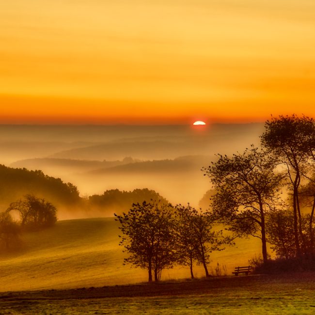 Sonnenaufgang auf der Böllsteiner Höhe von Richard Knapp