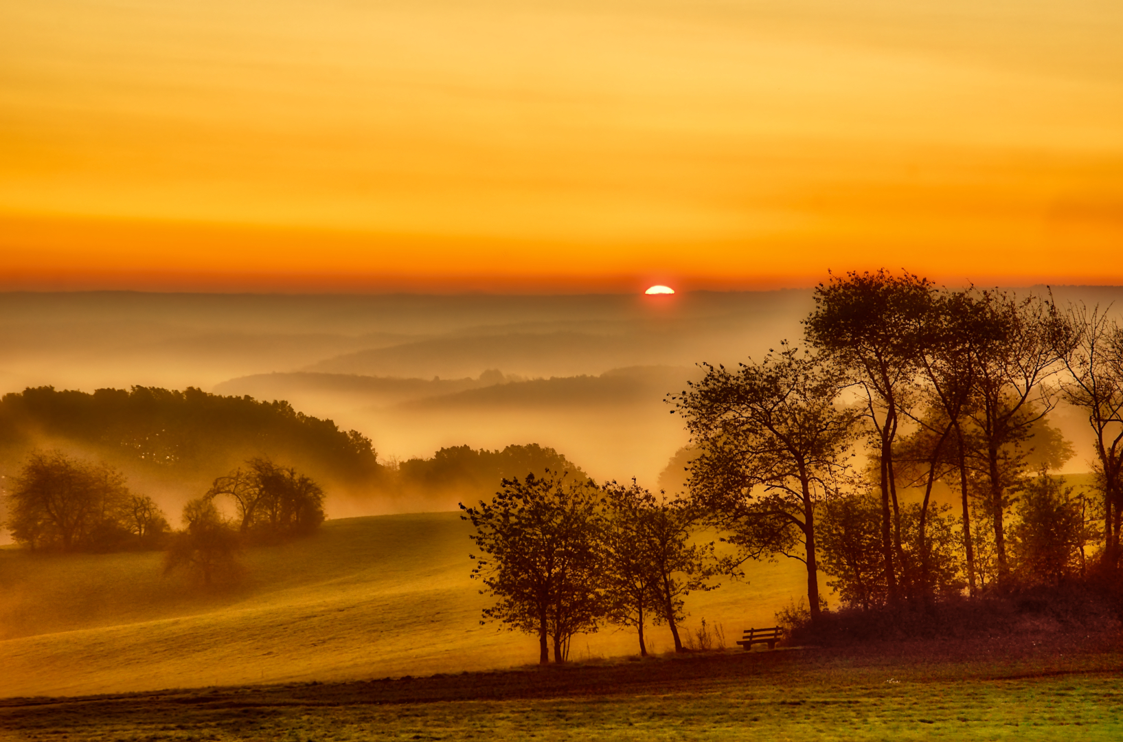 Sonnenaufgang auf der Böllsteiner Höhe von Richard Knapp