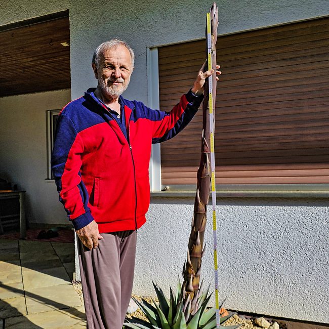 Horst Zanus