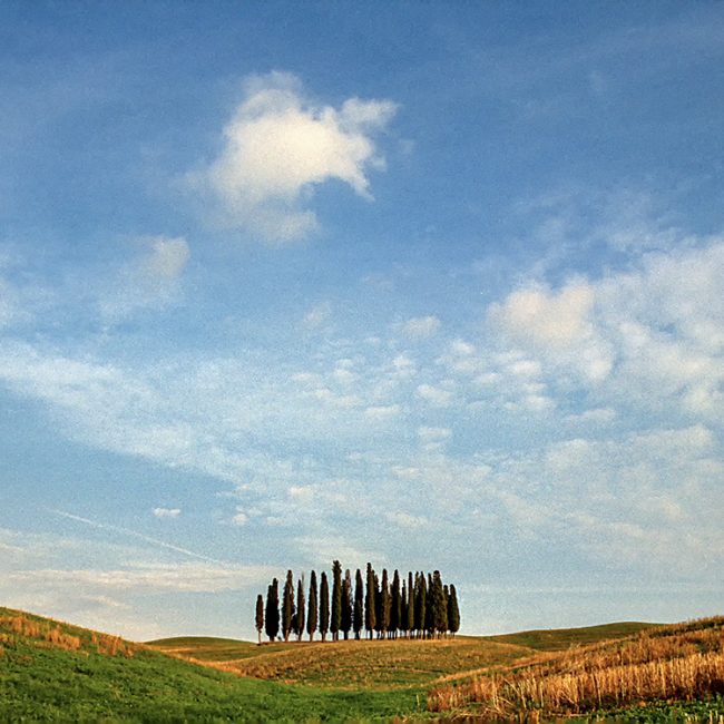 Horst Zanus