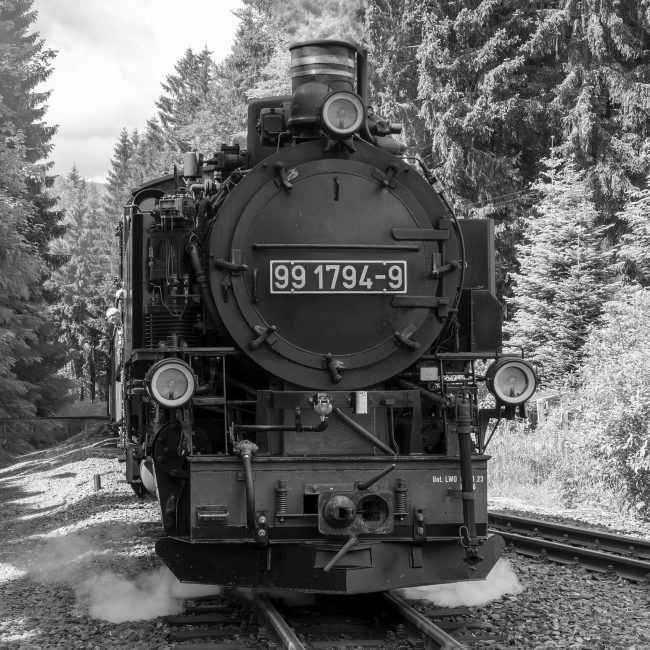 Fichtelbergbahn von Marlene Schröder
